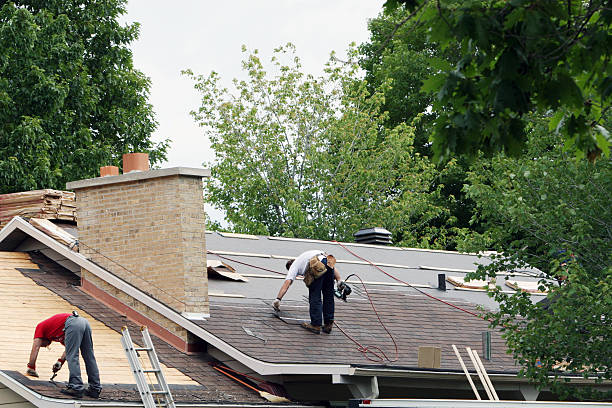 Best Roof Restoration Services  in Yorkvle, IL