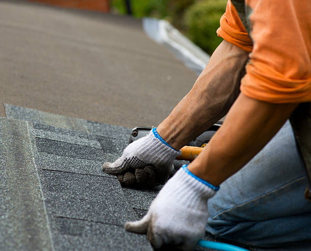 Best Commercial Roofing Services  in Yorkvle, IL