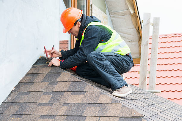 Best Roof Maintenance Services  in Yorkvle, IL